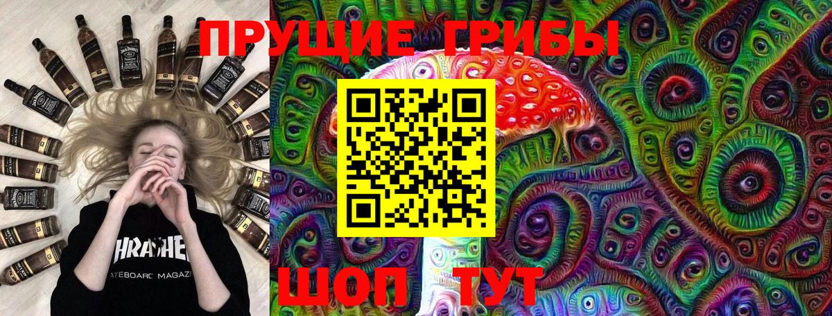 Галлюциногенные грибы GOLDEN TEACHER Кудрово