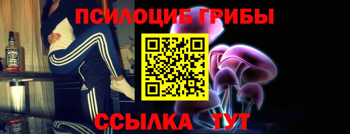 Кудрово  Псилоцибиновые грибы Psilocybe  Вход с VPN 